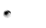 saif zone company formation